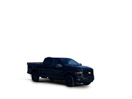 2025 Ford F-150 Stonewall LA