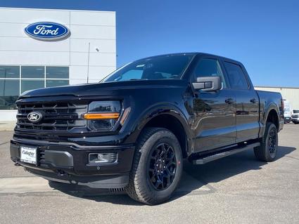 2025 Ford F-150 Elko NV