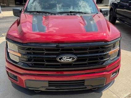 2025 Ford F-150 Woodhaven MI