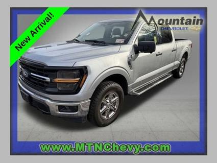 2024 Ford F-150 Glenwood Springs CO