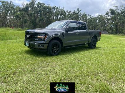 2025 Ford F-150 Perry FL