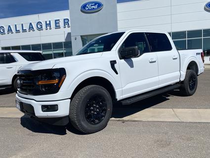 2026 Ford F-150 Elko NV