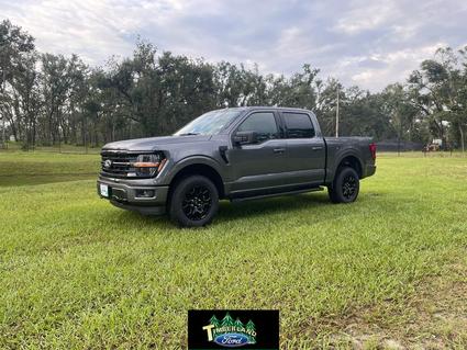 2025 Ford F-150 Perry FL