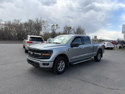 2024 Ford F-150 Laurel  MT