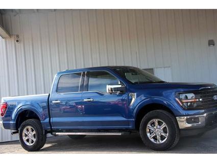 2024 Ford F-150 Lamar CO