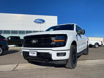 2025 Ford F-150 Elko NV