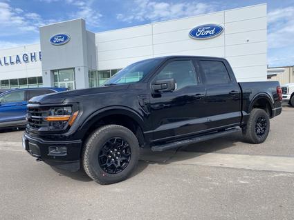 2026 Ford F-150 Elko NV