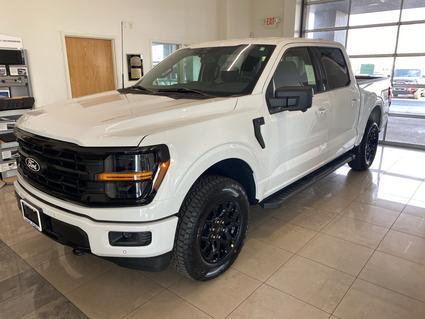 2025 Ford F-150 Sparta IL