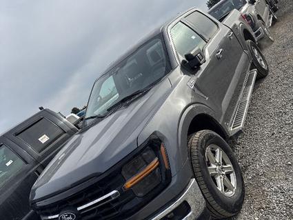 2024 Ford F-150 Post Falls ID