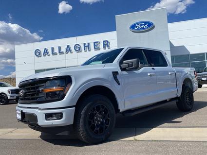 2025 Ford F-150 Elko NV