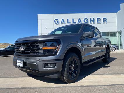 2025 Ford F-150 Elko NV
