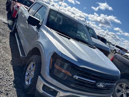 2024 Ford F-150 Post Falls ID