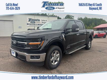 2025 Ford F-150 Hayward WI