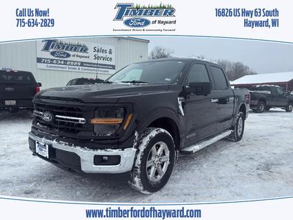 2024 Ford F-150 Hayward WI