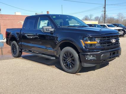 2025 Ford F-150 Paw Paw MI
