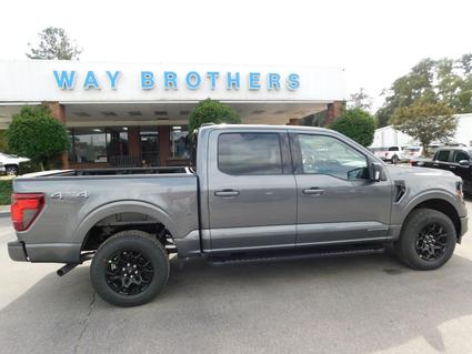 2025 Ford F-150 Hawkinsville GA