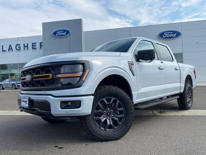 2025 Ford F-150 Elko NV