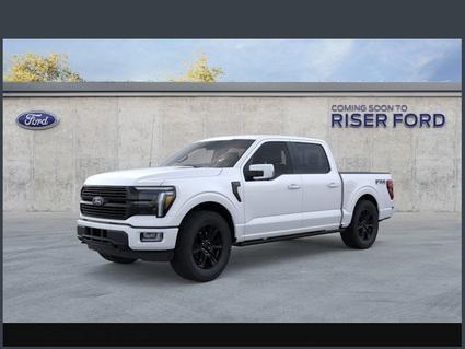 2025 Ford F-150 Hot Springs AR
