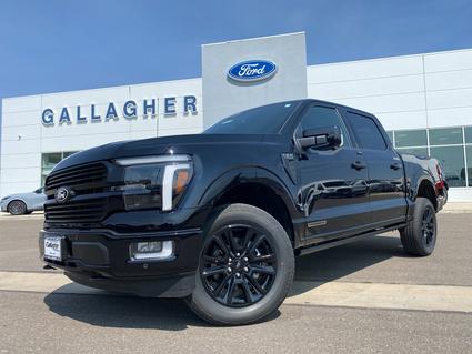2025 Ford F-150 Elko NV