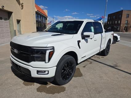 2025 Ford F-150 Brush CO