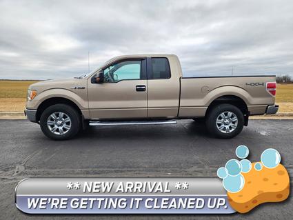 2011 Ford F-150 Watseka IL