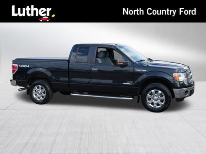 2014 Ford F-150 Minneapolis MN