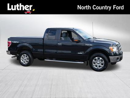2014 Ford F-150 Minneapolis MN