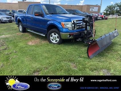 2010 Ford F-150 Winona MN