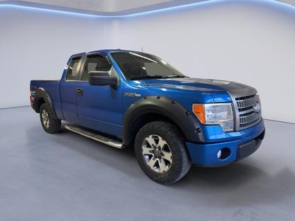2009 Ford F-150 Brunswick OH