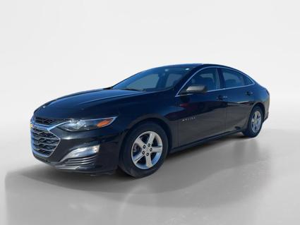2023 Chevrolet Malibu Fort Payne AL