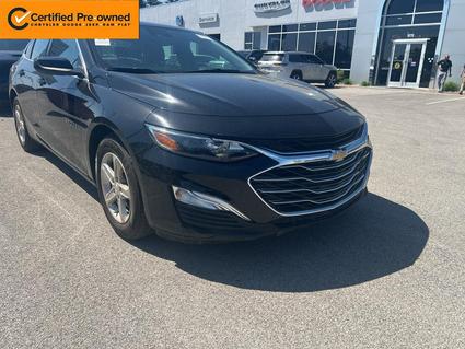 2024 Chevrolet Malibu Elizabethtown KY