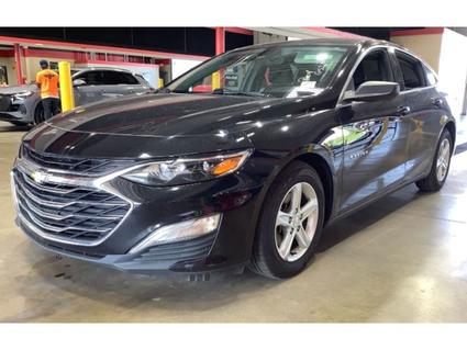 2019 Chevrolet Malibu Memphis TN