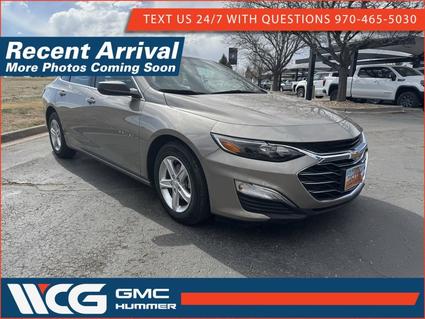 2024 Chevrolet Malibu Greeley CO
