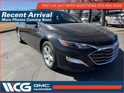 2024 Chevrolet Malibu Greeley CO