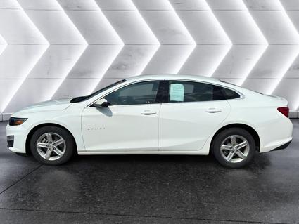 2023 Chevrolet Malibu Tuscumbia AL
