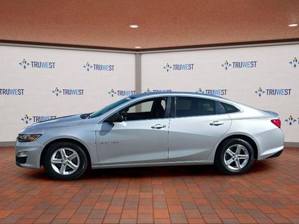 2019 Chevrolet Malibu Cortez CO