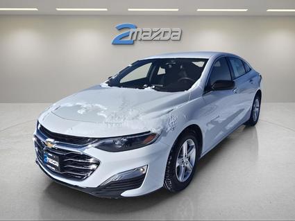 2024 Chevrolet Malibu Loveland CO