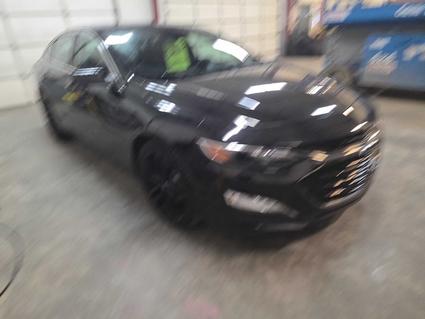 2024 Chevrolet Malibu Laurel  MT