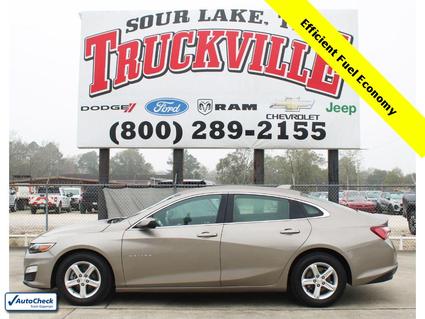 2022 Chevrolet Malibu Sour Lake TX