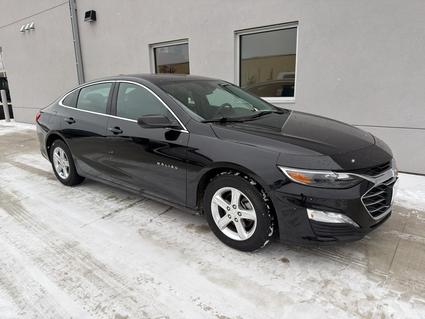 2024 Chevrolet Malibu Winona MN