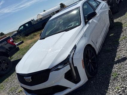 2024 Cadillac CT4 Post Falls ID