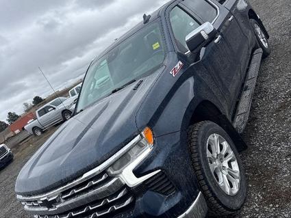 2022 Chevrolet Silverado Post Falls ID