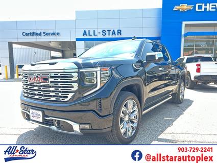 2025 GMC Sierra Palestine TX