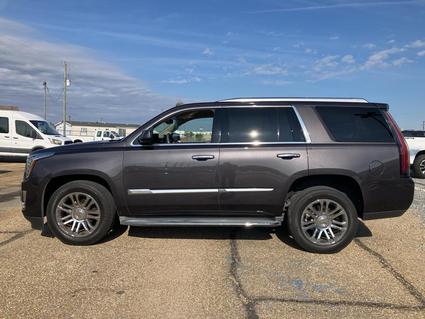 2015 Cadillac Escalade Houma LA