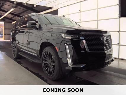 2021 Cadillac Escalade Birmingham AL