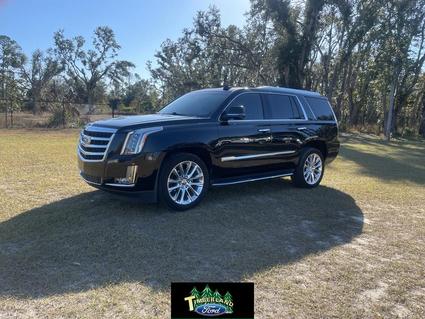 2019 Cadillac Escalade Perry FL