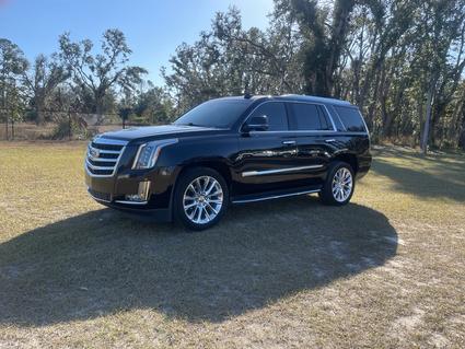 2019 Cadillac Escalade Perry FL