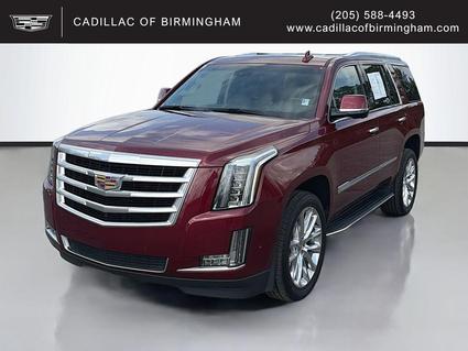 2019 Cadillac Escalade Vestavia Hills AL