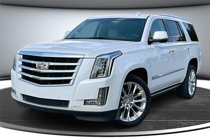2019 Cadillac Escalade Fort Walton Beach FL