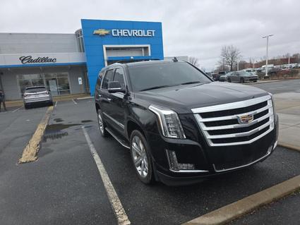 2019 Cadillac Escalade Rock Hill SC
